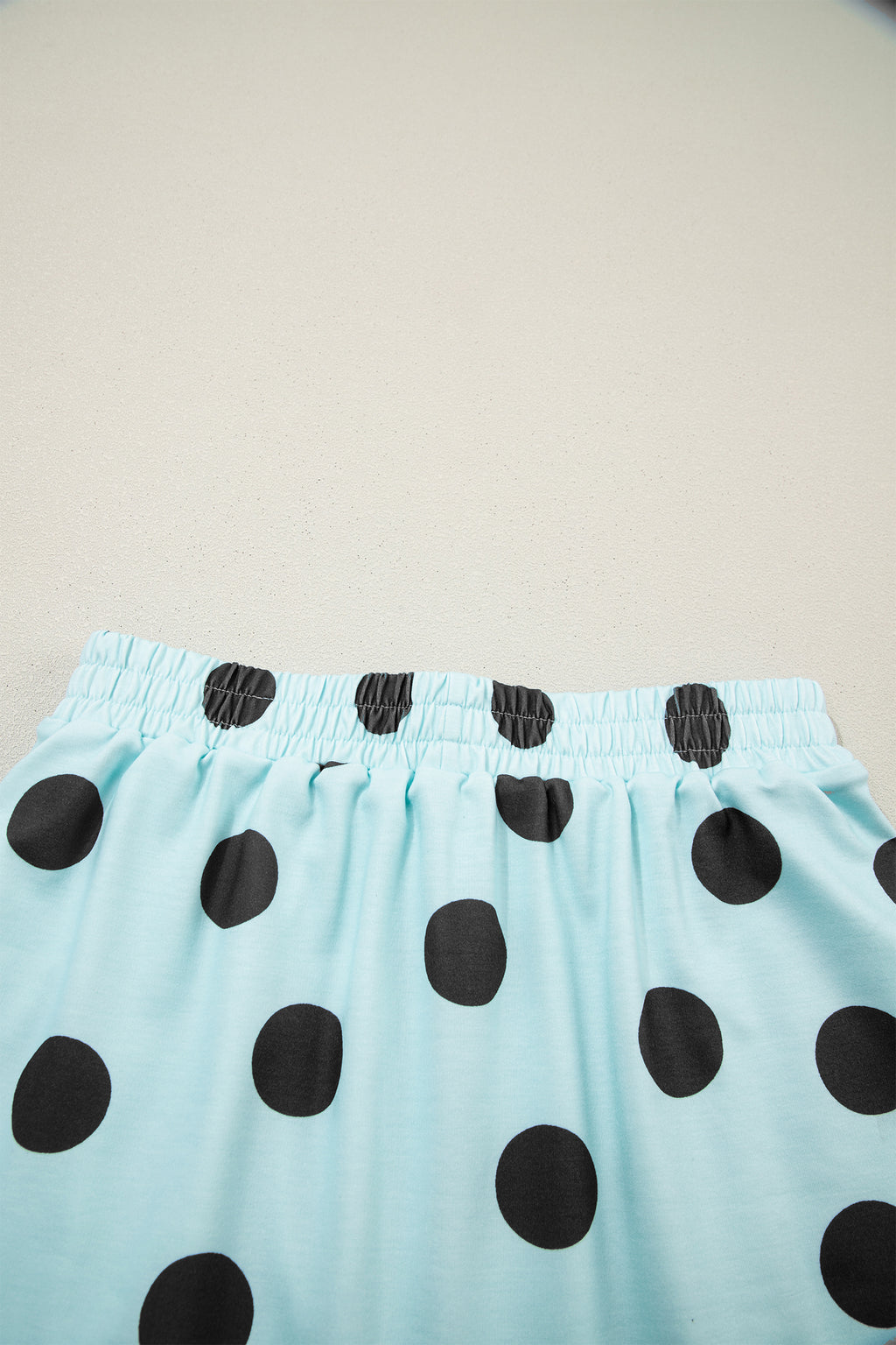Sky Blue Polka Dot Short Sleeve Top Casual Skort 2pcs Outfit